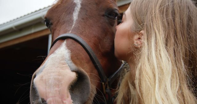 Young Woman Kissing Horse Nose in Barnyard - Download Free Stock Images Pikwizard.com