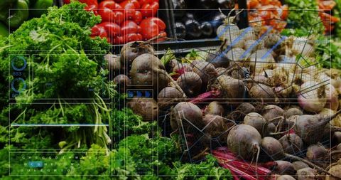 Displaying dirt-speckled beetroots and curly greens with futuristic hud overlay