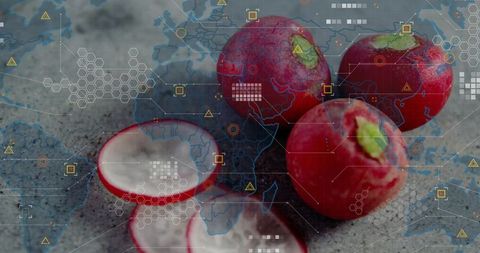 Radishes on Concrete Counter Showing Digital Map Overlay with Hexagon Tech Graphics