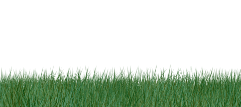 Transparent Grass Field Vector for Nature Concepts - Download Free Stock Videos Pikwizard.com