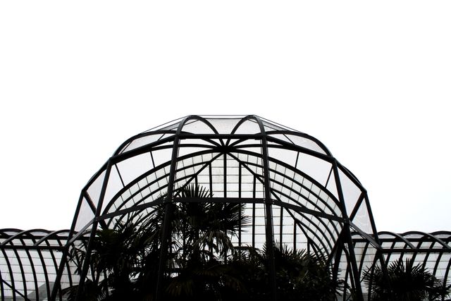Modern geometric glass dome with lush greenery inside. Suitable for articles on architecture, futuristic designs, and urban gardening. Perfect for blogs about green spaces in urban environments or greenhouse innovation and architectural photography websites.