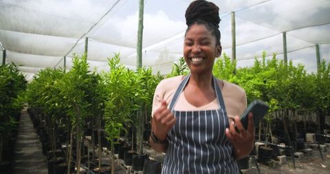 African American Greenhouse Worker Checks Plants with Smartphone