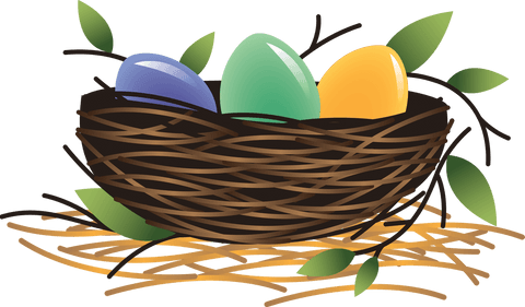 colorful eggs in a nest on transparent background - Download Free Stock Videos Pikwizard.com