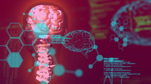 Digital Animation of Brains with Data Processing Elements