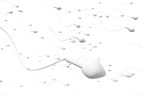 transparent 3d rendering of swimming sperm cells - Download Free Stock Videos Pikwizard.com