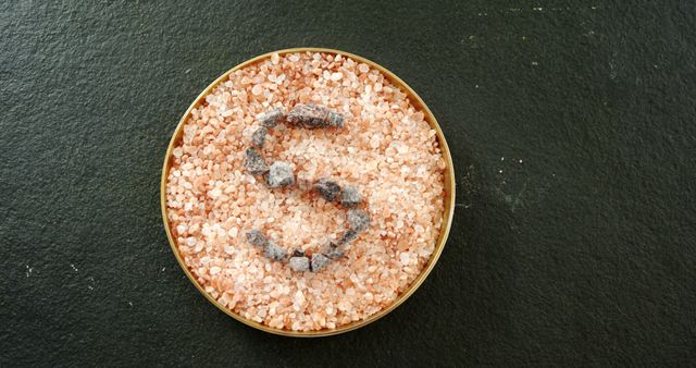 This image depicts the letter S, crafted using white salt placed in a bowl, against a dark backdrop. The high contrast between the salt and the background enhances the visibility of the letter. Ideal for culinary websites, cooking blogs, salt product promotions, or educational materials related to alphabets and typography. It can also be used in projects themed around minimalism and creativity in everyday objects.