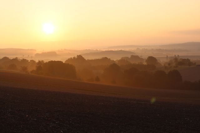Serene Countryside at Sunrise with Misty Landscape - Download Free Stock Photos Pikwizard.com