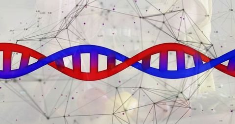 Double helix DNA merging with molecular network for genomic research and biotech