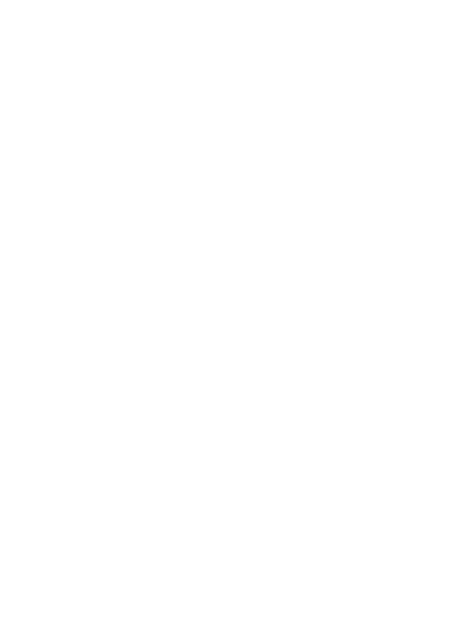 Transparent Silhouette of Woman Exercising with Ball Vector - Download Free Stock Videos Pikwizard.com