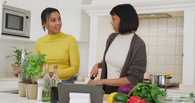 Two Women Preparing Healthy Meal in Modern Kitchen - Download Free Stock Images Pikwizard.com