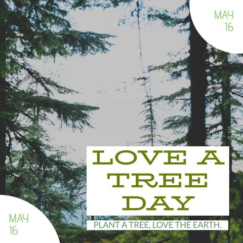 love a tree day celebration with lush forest background - Download Free Stock Templates Pikwizard.com