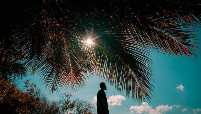 Silhouette of Man Under Palm Fronds with Sun Flare and Vibrant Sky