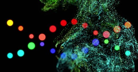 Dynamic networks and dna helix svg visualization in abstract space