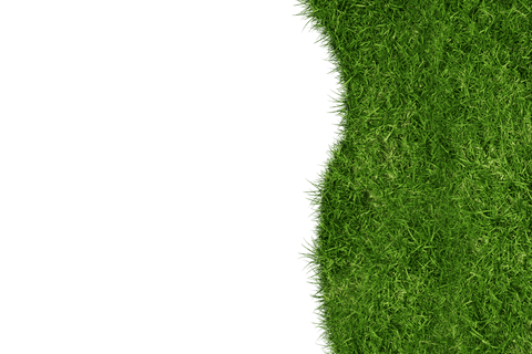 green grass border on transparent background with copy space - Download Free Stock Videos Pikwizard.com