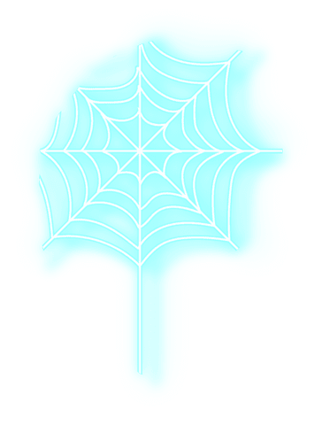 transparent neon blue spider web icon for halloween themes - Download Free Stock Videos Pikwizard.com