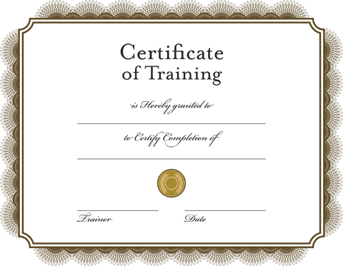 certificate of training template on transparent background - Download Free Stock Videos Pikwizard.com