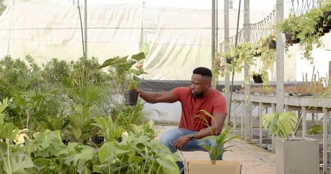 Gardener Nurturing Plants in Greenhouse Nursery