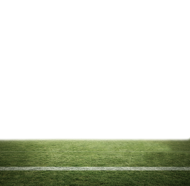 Digital Edge of Green Sports Field on Transparent Background - Download Free Stock Videos Pikwizard.com