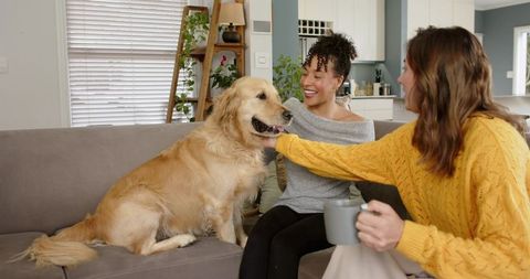 Friends petting golden retriever on cozy living room couch, sharing coffee and smiling