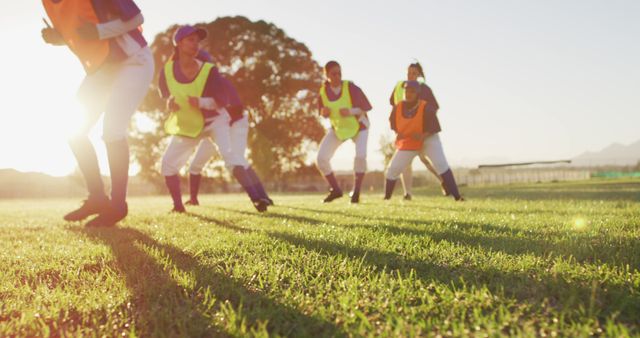 Youth Baseball Team Warming Up on Sunny Field - Download Free Stock Images Pikwizard.com