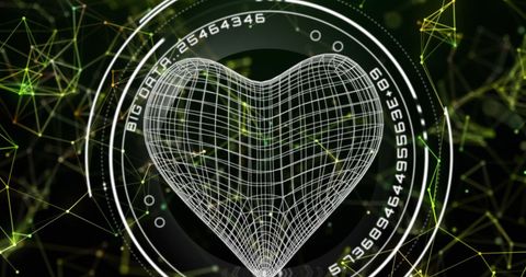 Heart Model in Digital Interface with Network Connections