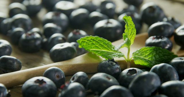 Fresh Blueberries with Mint Leaves on a Wooden Spoon - Download Free Stock Images Pikwizard.com