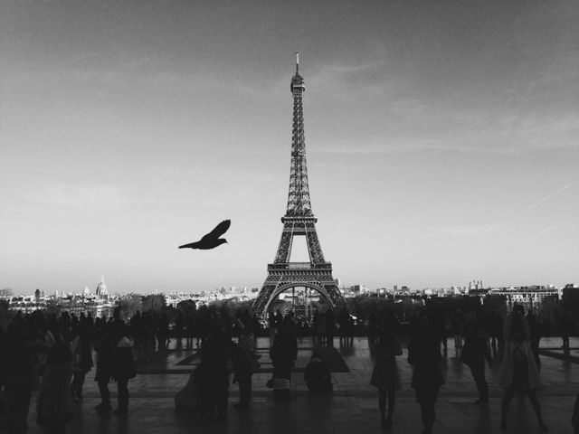 Black and White Eiffel Tower with Flying Bird and Crowd - Download Free Stock Photos Pikwizard.com