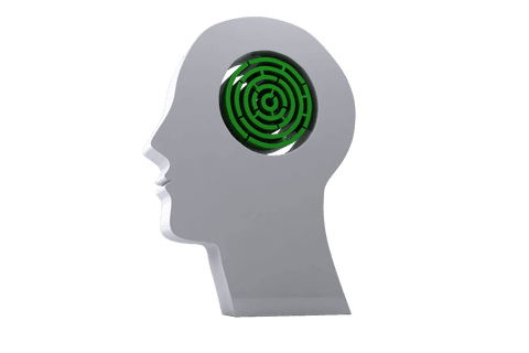 Transparent Human Head with Labyrinth of Knowledge Concept - Download Free Stock Videos Pikwizard.com