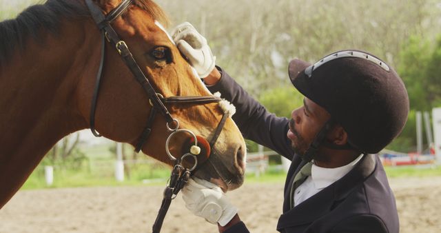 Professional Equestrian Caring for Horse Outdoors - Download Free Stock Images Pikwizard.com