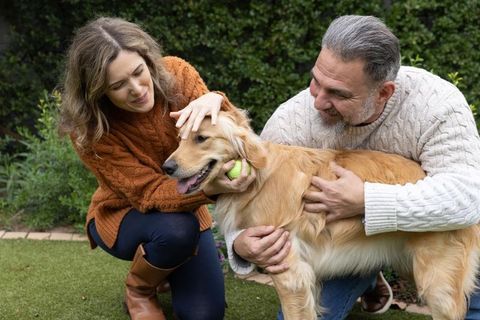Couple petting golden retriever in garden wearing cozy cable-knit sweaters and boots