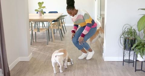Young Woman in Colorful Sweater Feeding Her Dog at Home