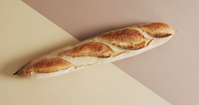 Image of one baguette on a brown and beige surface. food, cuisine and catering ingredients.
