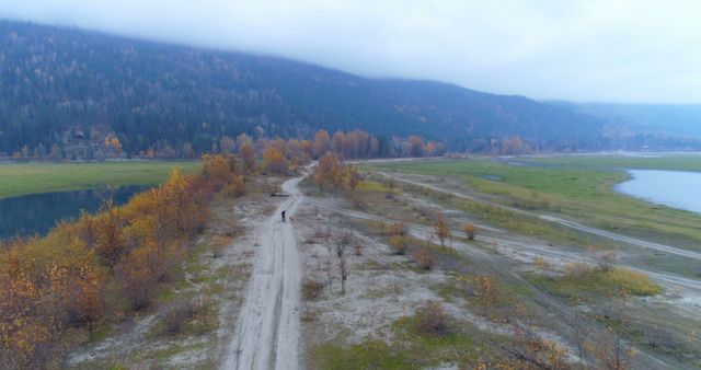 Drone view of scenic autumn landscape with paths and foliage - Download Free Stock Images Pikwizard.com