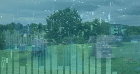 Digital Interface Overlay on Green Landscape