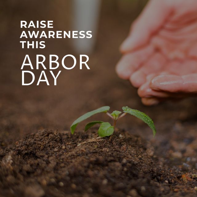 Biracial Man Watering Seedling for Arbor Day Awareness Campaign - Download Free Stock Templates Pikwizard.com