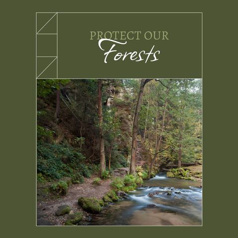 Peaceful River in Lush Forest Advocating for Environmental Protection - Download Free Stock Templates Pikwizard.com