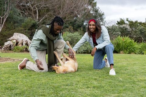 African american man and asian woman petting playful tan dog on park lawn