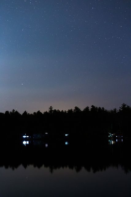 Silhouette of Trees Reflecting on Body of Water Under Starry Night Skies - Download Free Stock Photos Pikwizard.com