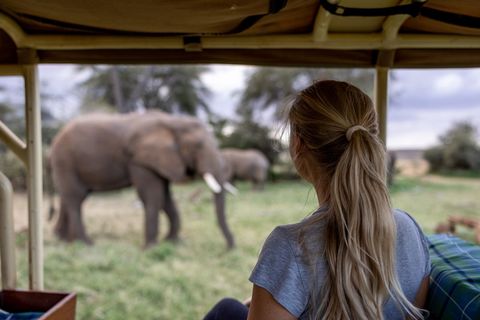 Woman watching elephants from open safari vehicle, close wildlife encounter in savanna