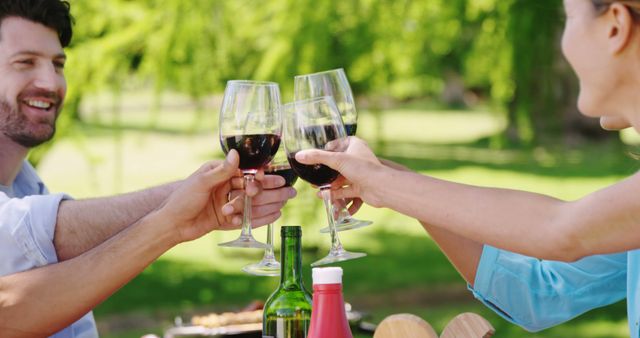 Friends Toasting with Red Wine at Outdoor Picnic Celebration - Download Free Stock Images Pikwizard.com
