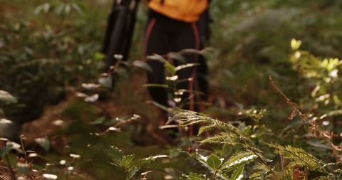 Cyclist Riding Forest Trail at Sunrise
