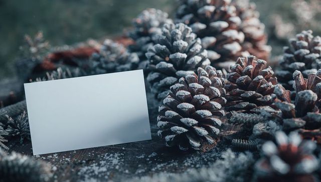 Blank Card with Frosted Pine Cones in Winter Setting