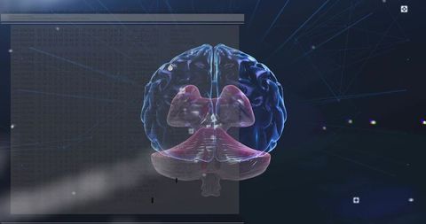 Translucent 3d brain rotating and tilting revealing cerebellum with futuristic hud
