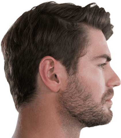 profile view of young man with subtle beard on transparent background - Download Free Stock Videos Pikwizard.com
