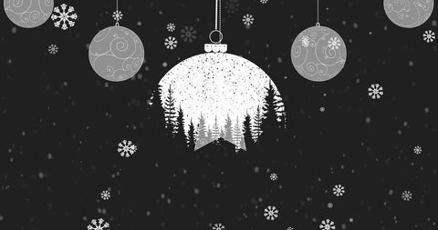 Holiday Baubles and Snowflakes on Stark Black Background
