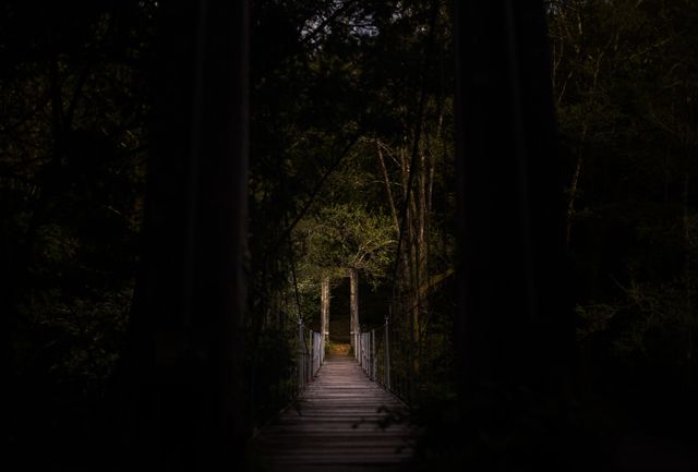 Rustic Wooden Bridge at Nighttime Surrounded by Forest Trees - Download Free Stock Photos Pikwizard.com