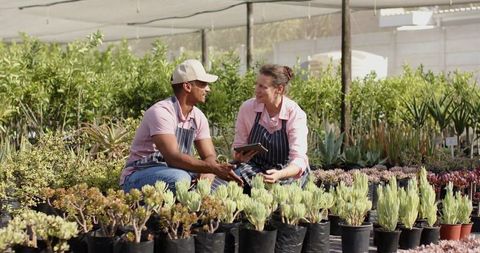 Diverse greenhouse workers discussing plants amid succulents