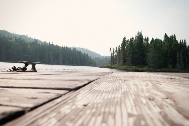 This photo depicts a tranquil scene of a wooden dock leading into a calm lake surrounded by a dense forest. The subtle early morning or late afternoon light enhances the serene atmosphere. Ideal for use in travel and nature blogs, outdoor activity advertisements, relaxation and meditation materials, and environmental awareness campaigns.