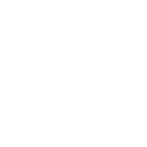 Flower Circles Pattern on Transparent Background for Creative Designs - Download Free Stock Videos Pikwizard.com