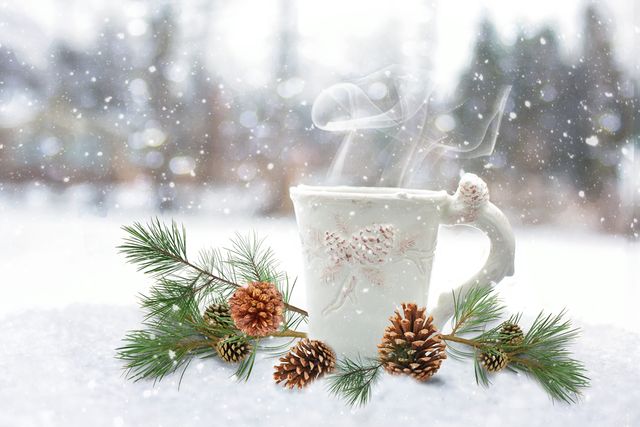 Hot Drink in Snowy Outdoors with Pinecones and Fir Branches - Download Free Stock Photos Pikwizard.com